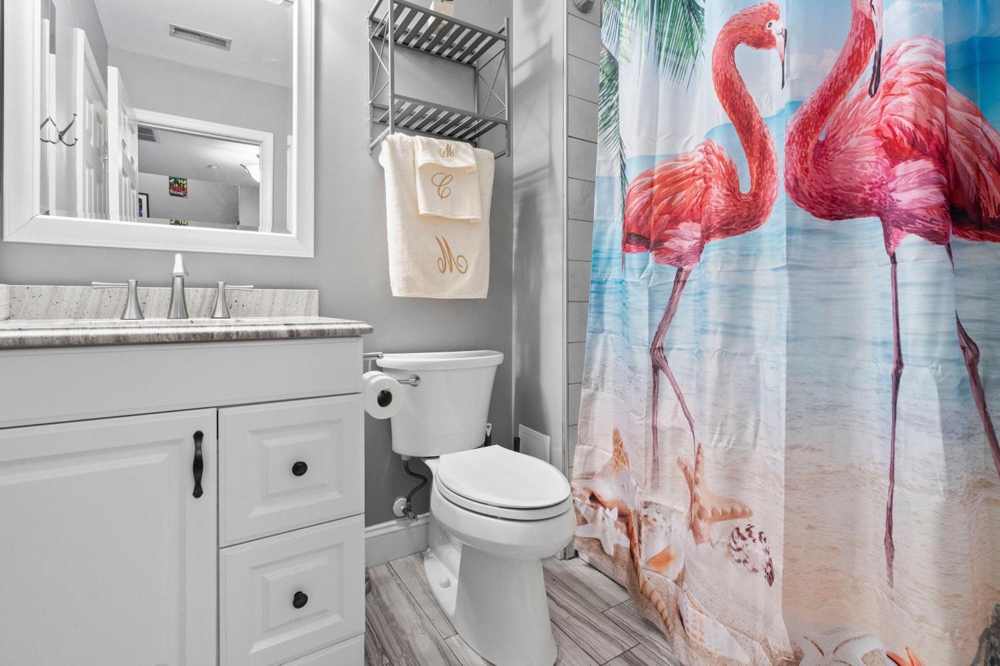 New Tropical Island Oasis Daire Baltimore Dış mekan fotoğraf